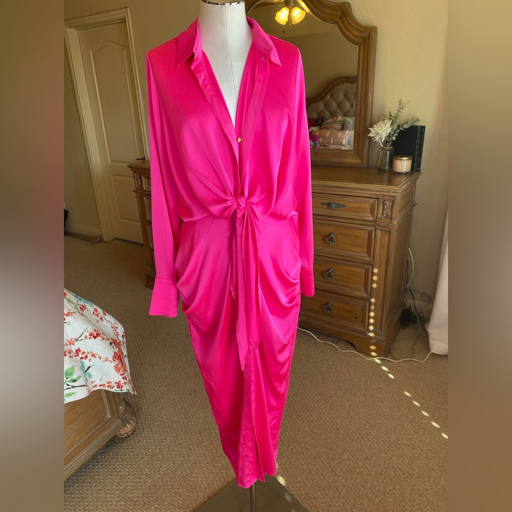 Pink Runaway dress